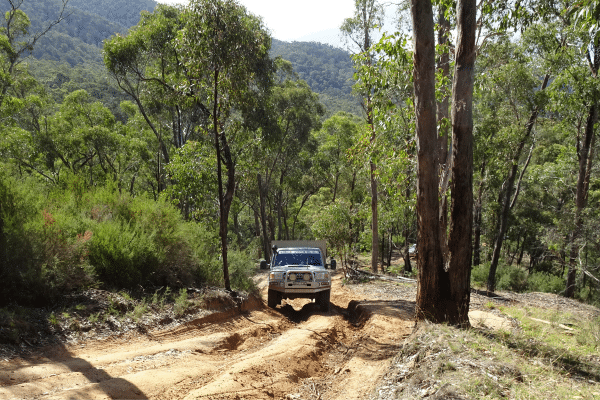 Variety 4wd Adventure 2019