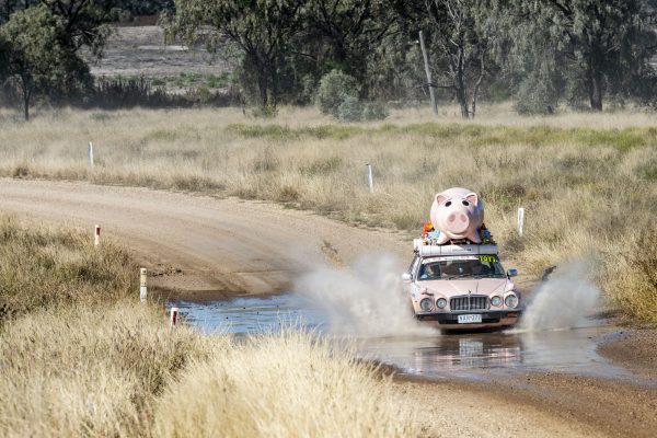 variety nsw bash 2021 day 3