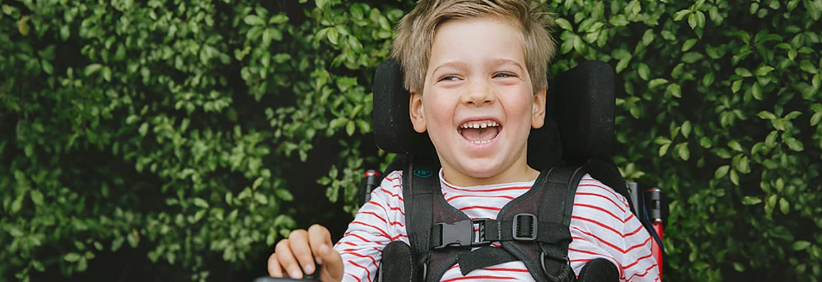 Individual Grants Variety