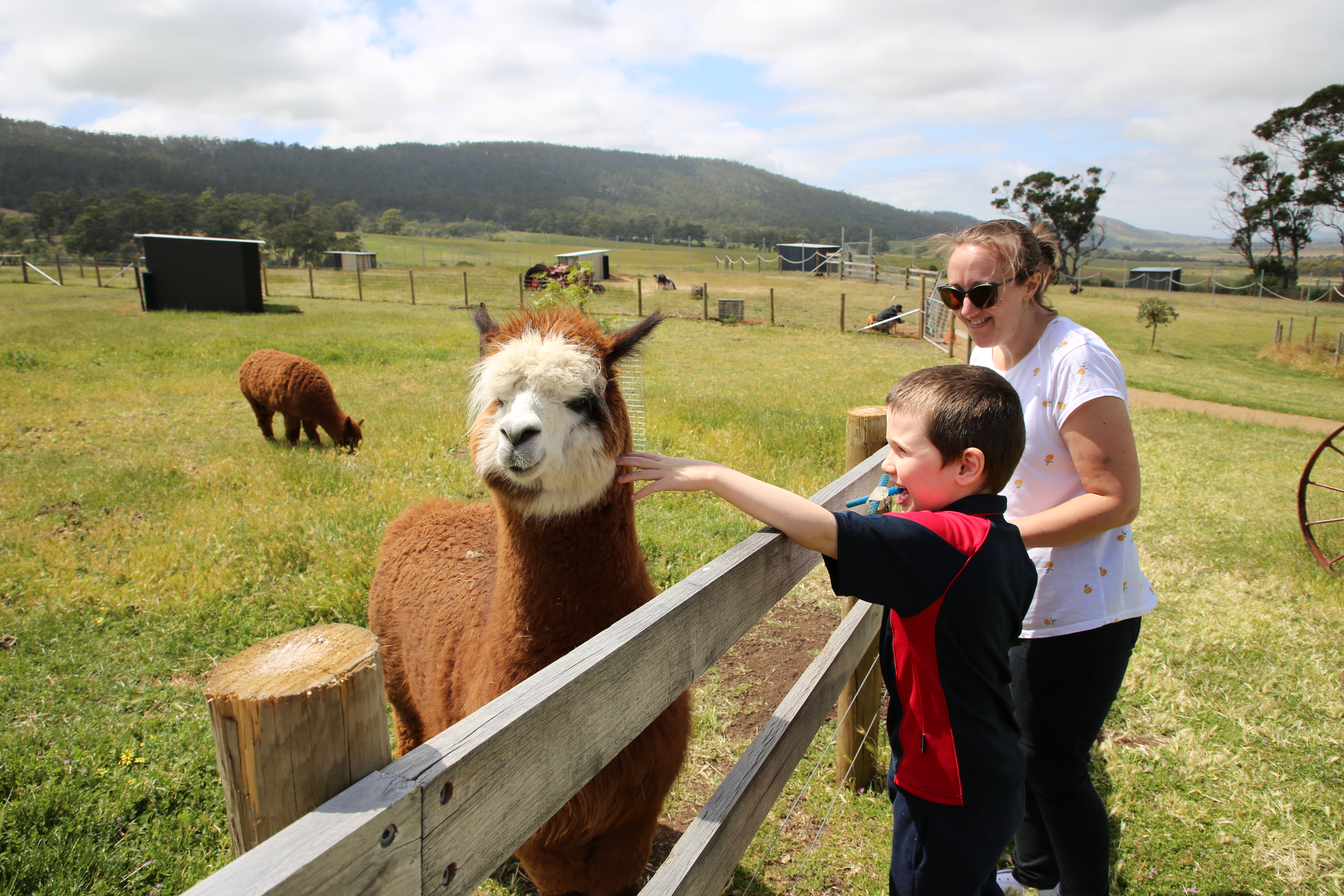 Variety Day @ the Zoo