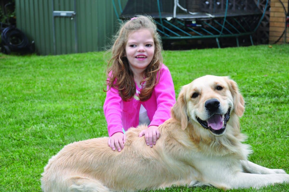 Assistance dogs increase freedom and independence