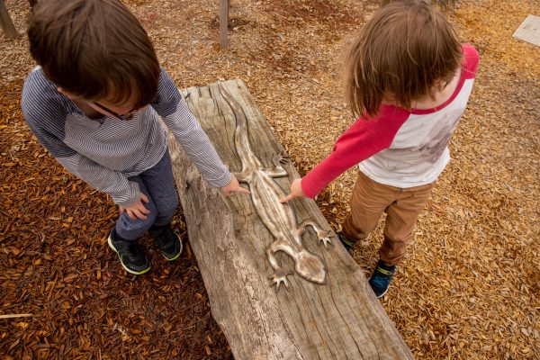 Two children pointing to the shape of a lizard