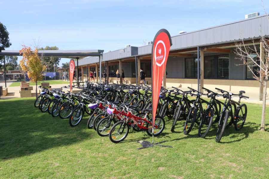 Two roes of bikes lined up neatly by size with Variety teardrop banners on either side of the display